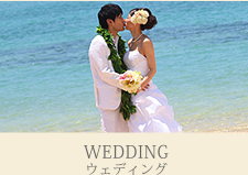 ǥ [ WEDDING ]